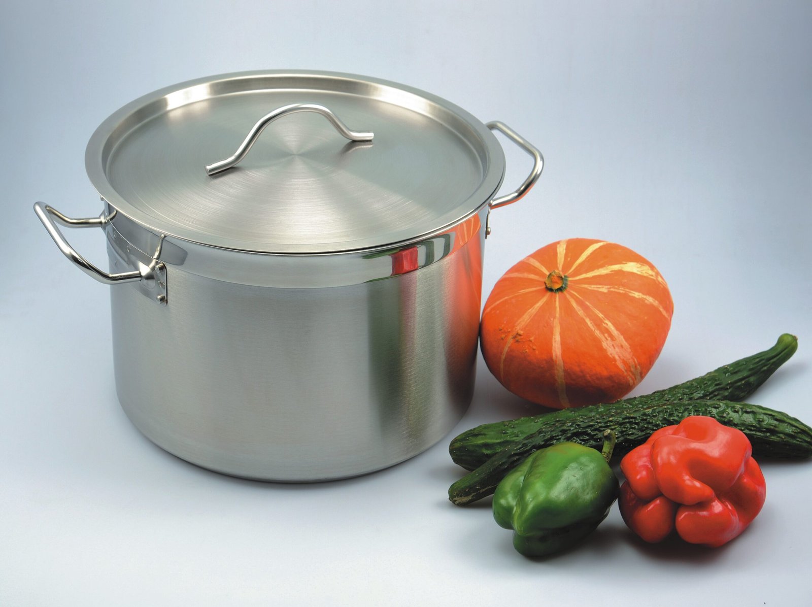 Large stainless steel cooking pot with fresh vegetables